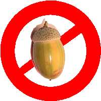 verboden voor eikels dus..